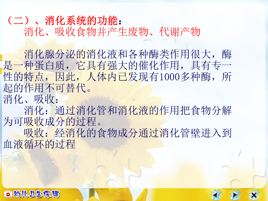 幼儿消化系统和卫生保健讲义课件.ppt_第2页