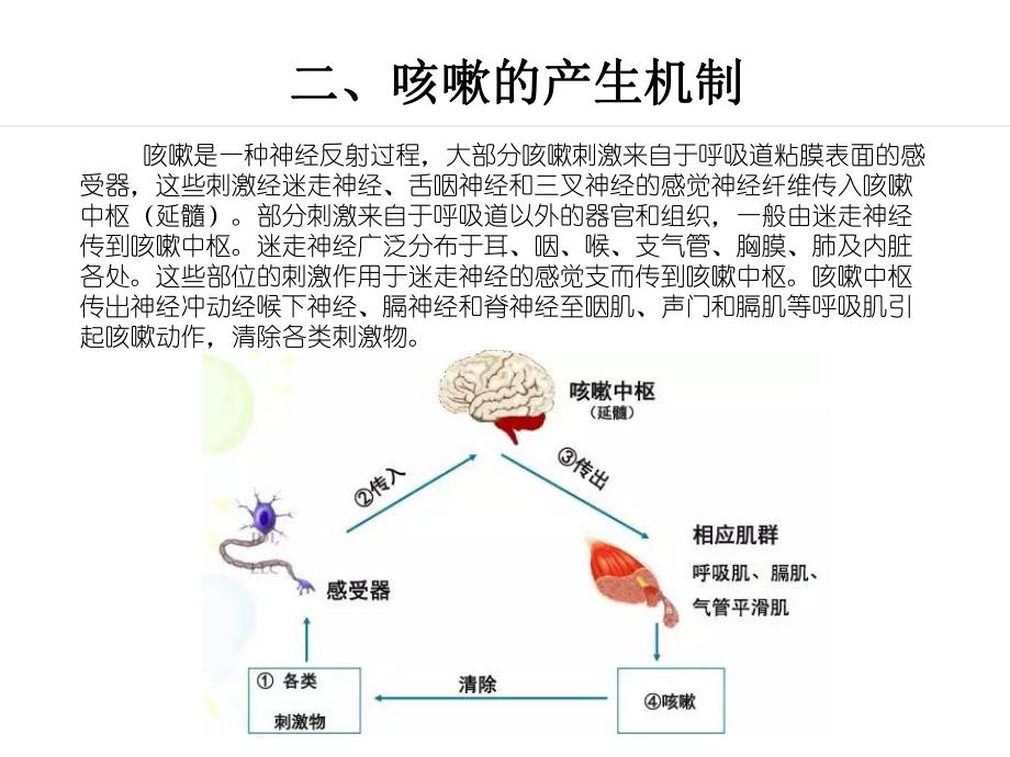 儿童慢性湿性咳嗽诊断与治疗ppt演示课件.ppt_第3页