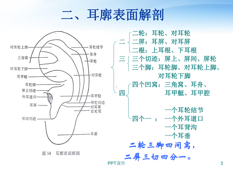 耳穴治疗-ppt课件1.ppt_第3页