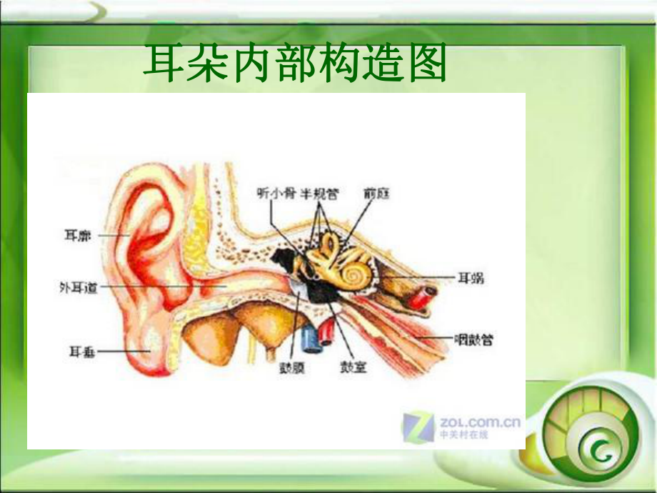 突发性耳聋的护理查房(1)课件.ppt_第3页