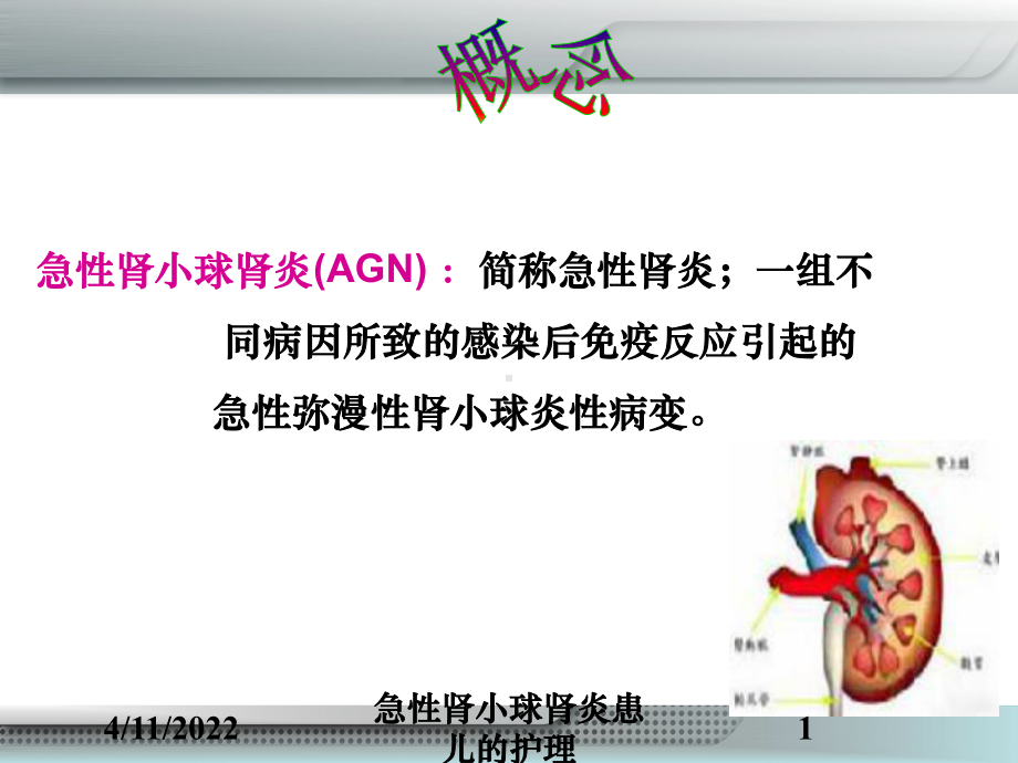 急性肾小球肾炎患儿的护理培训课件.ppt_第1页