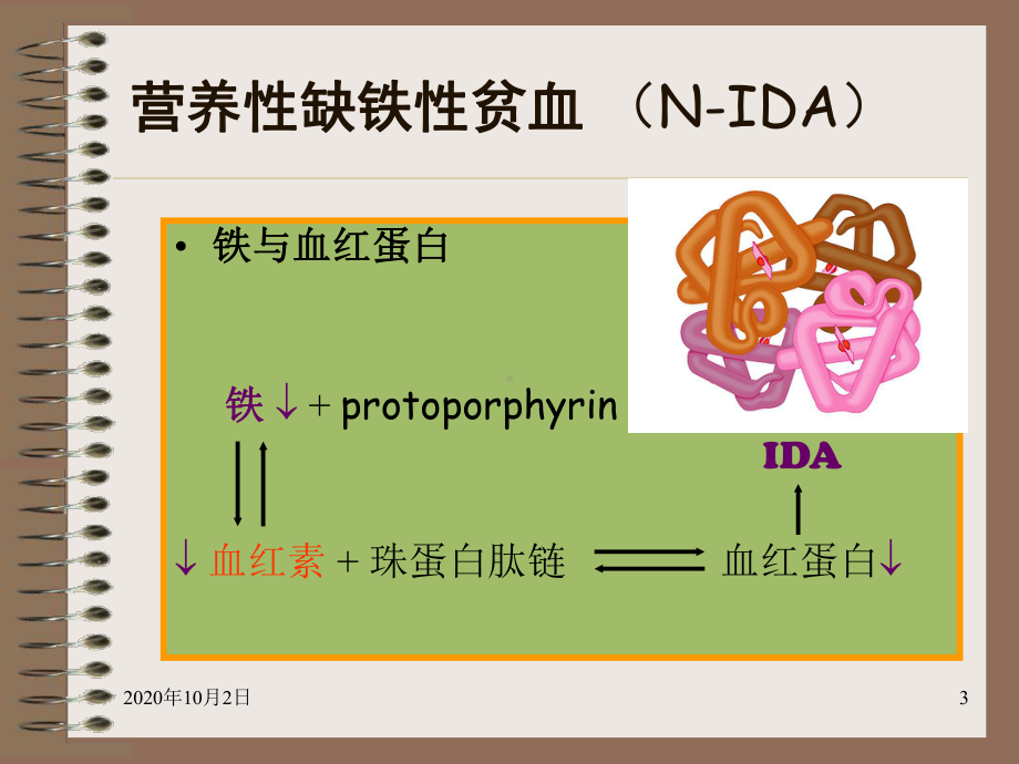 儿科血液系统疾病-营养性贫血PPT课件.ppt_第3页