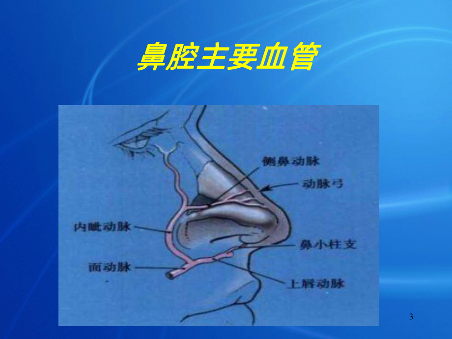 鼻内镜手术PPT课件.ppt_第3页