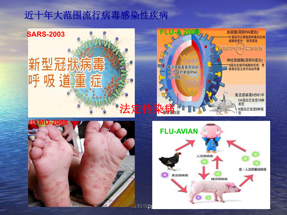 儿童病毒感染性疾病ppt课件.ppt_第3页