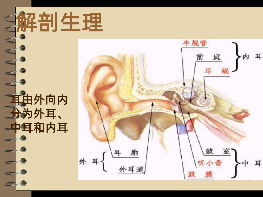 慢性中耳炎课件.ppt_第3页