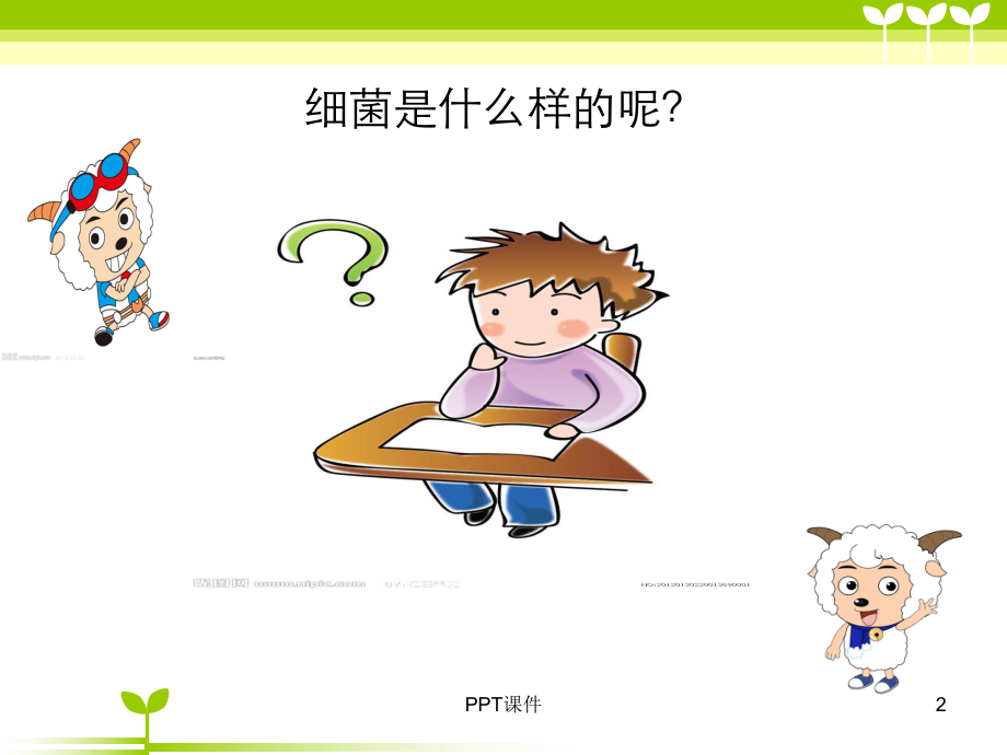 幼儿医学常识-ppt课件.ppt_第2页