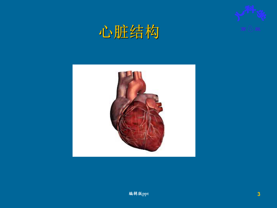 儿童先天性心脏病医学PPT课件.ppt_第3页