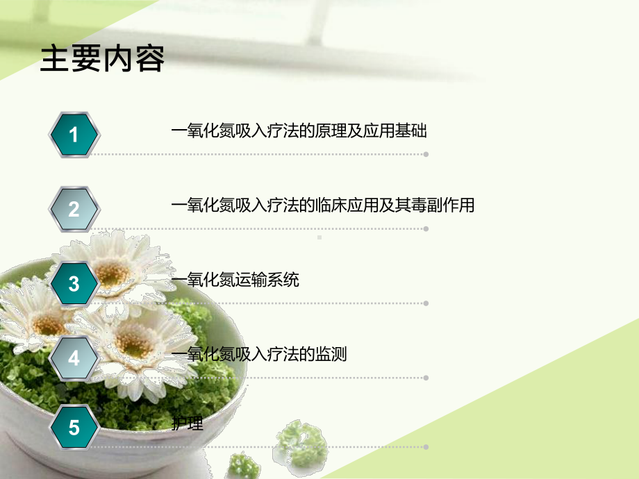 一氧化氮吸入疗法在儿科应用课件.ppt_第2页