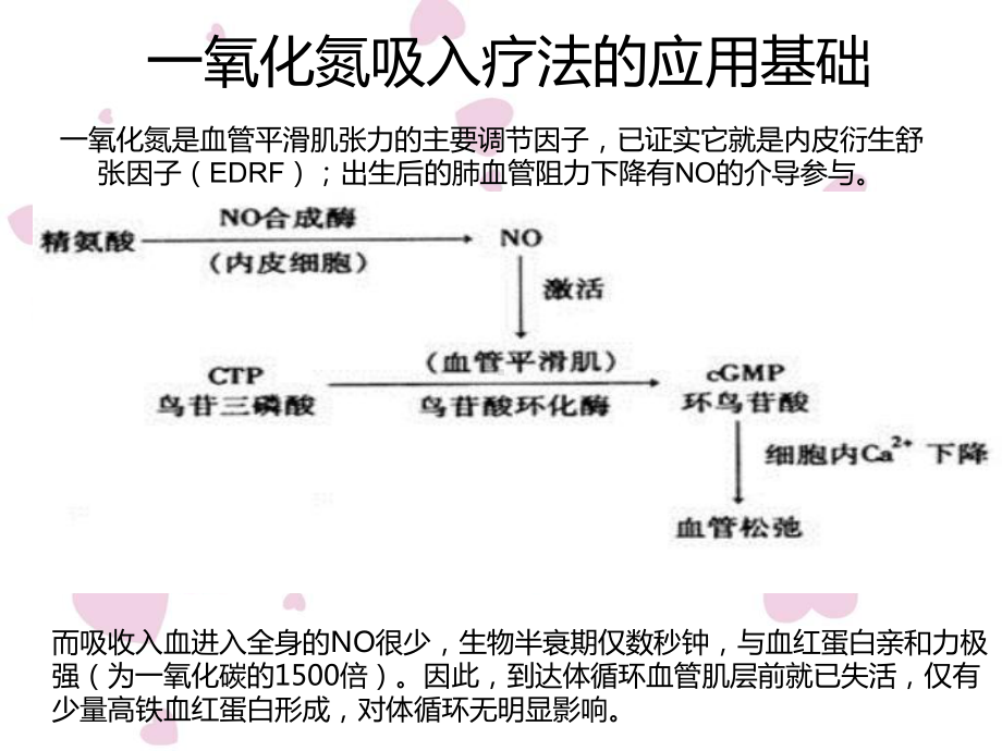 一氧化氮吸入疗法在儿科应用课件.ppt_第3页