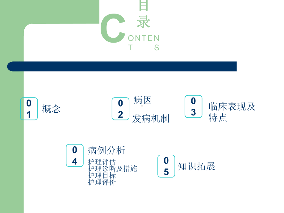 护理查房-小儿高热惊厥-ppt课件.ppt_第2页