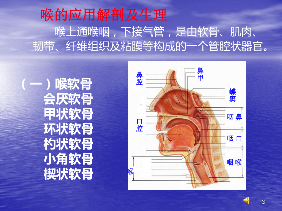 喉阻塞病人护理PPT课件.ppt_第3页