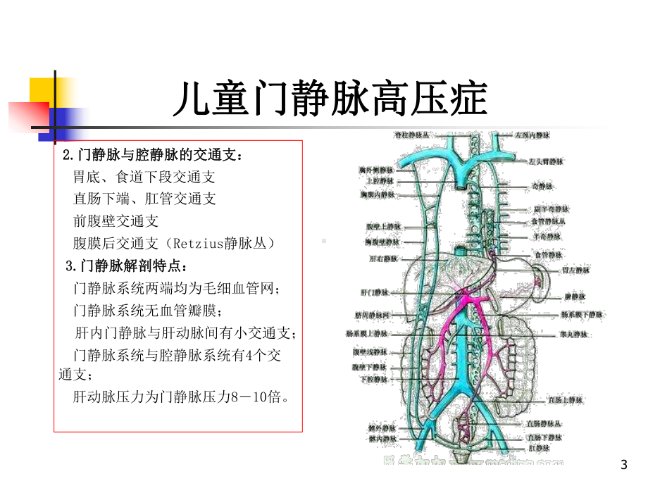 儿童门静脉高压症PPT课件.ppt_第3页