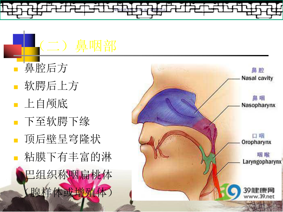 鼻咽部的CT解剖课件.ppt_第2页