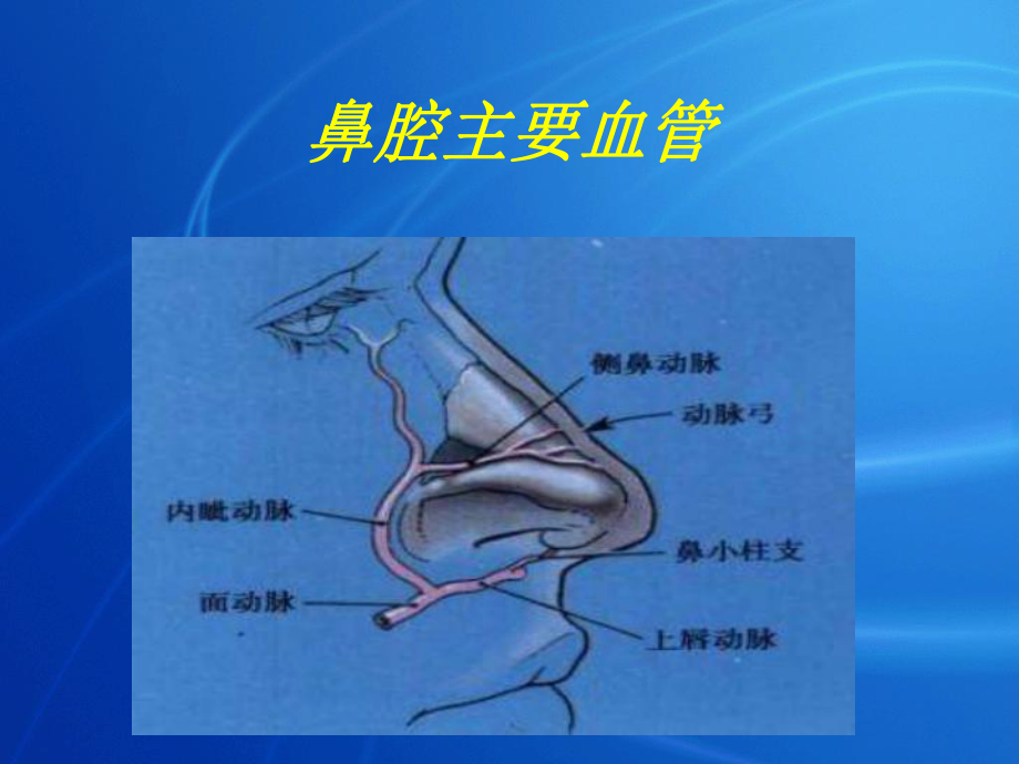 鼻内镜手术专题知识讲座PPT培训课件.ppt_第3页