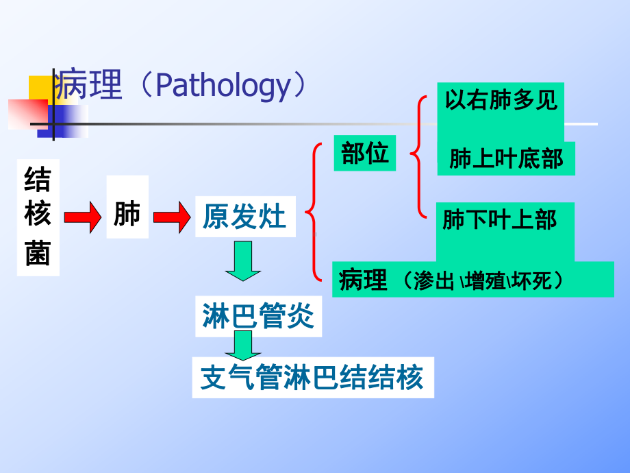 儿童原发型肺结核ppt课件.ppt_第3页