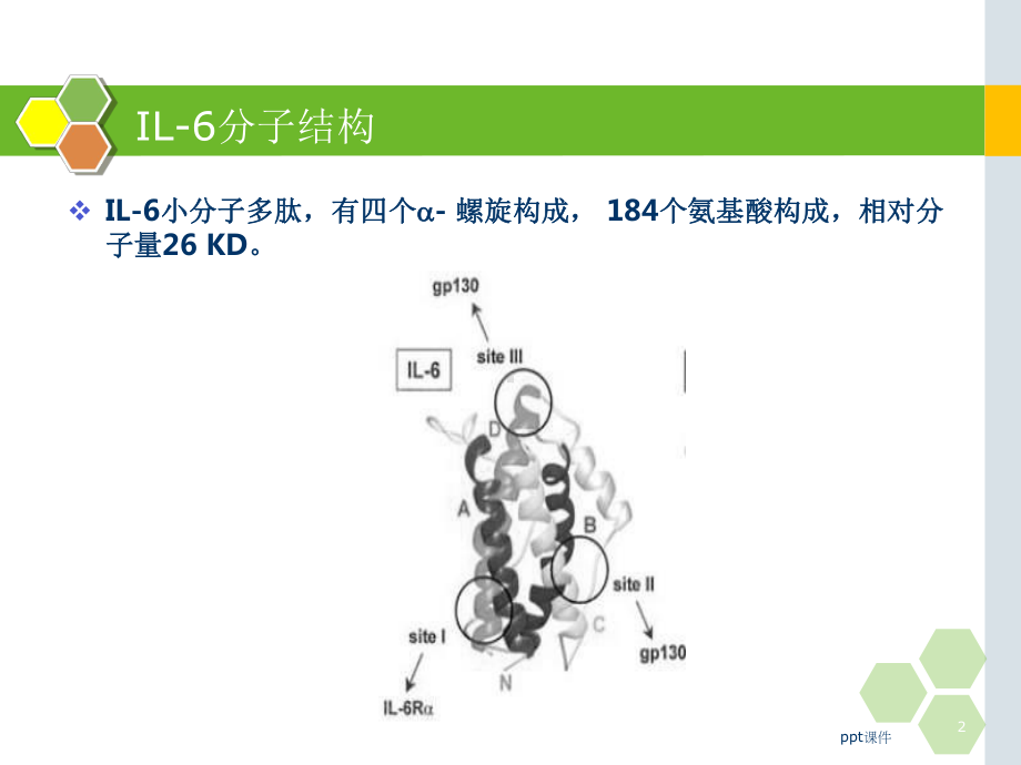 白细胞介素的在儿科应用的临床意义-ppt课件.ppt_第2页