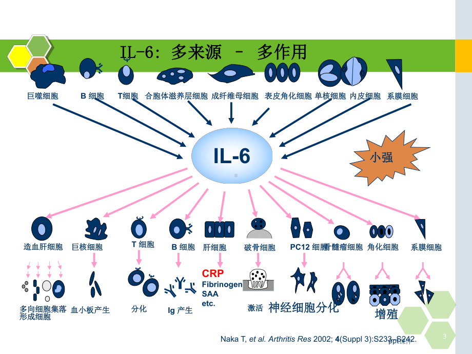 白细胞介素的在儿科应用的临床意义-ppt课件.ppt_第3页