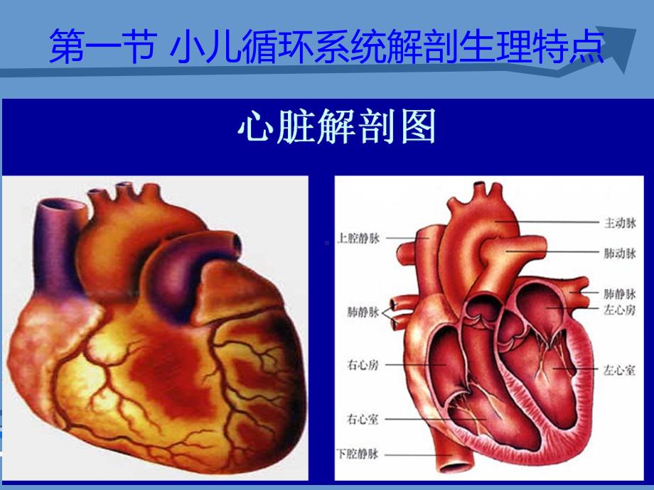 循环系统疾病患儿的护理课件.ppt_第3页