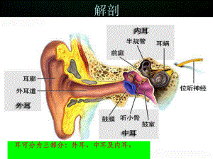 化脓性中耳炎的护理PPT课件.ppt