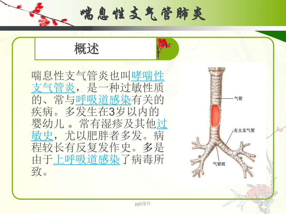 喘息性支气管炎的护理（儿科）-ppt课件.ppt_第2页