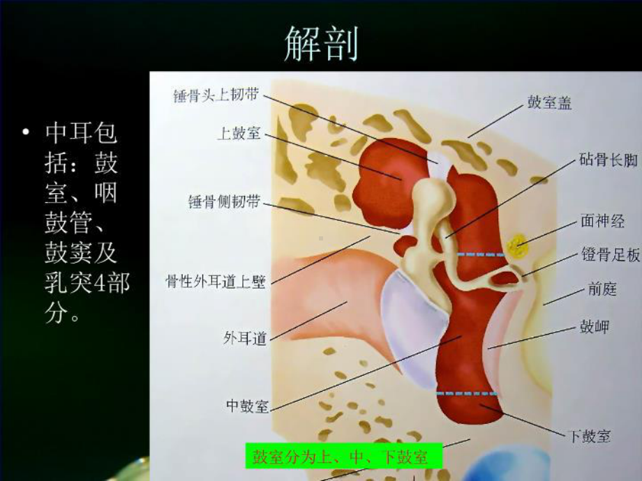 最新中耳炎的护理课件.ppt_第3页