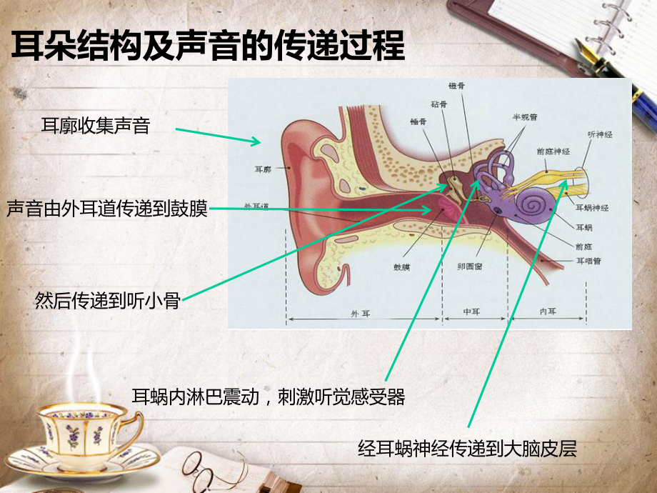 耳聋基因检测课件.ppt_第2页