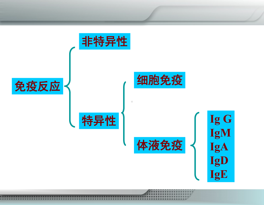 第十三章-免疫性疾病患儿的护理课件.ppt_第2页