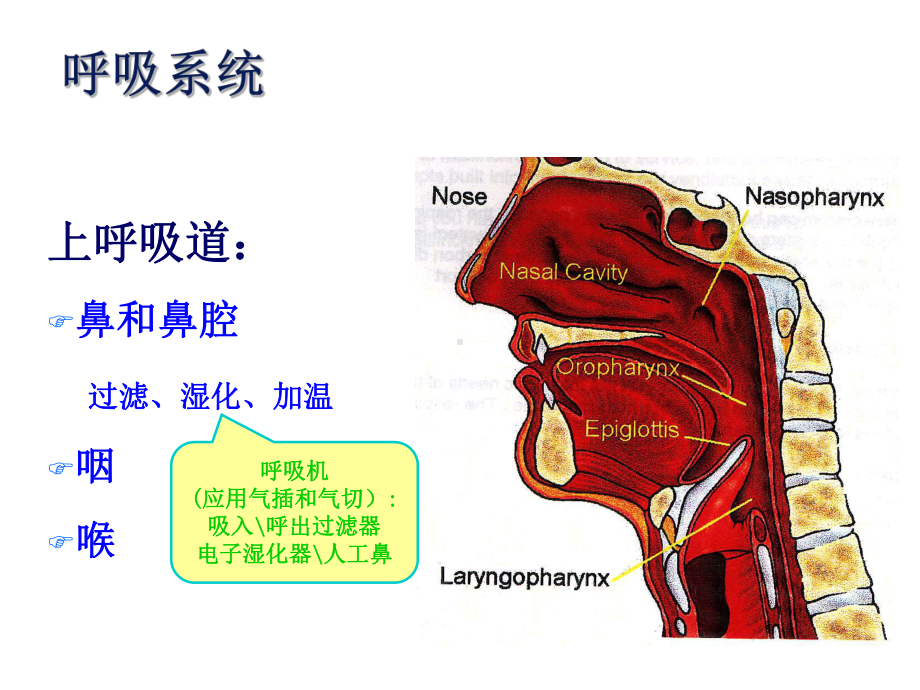 呼吸机原理课件.ppt_第3页