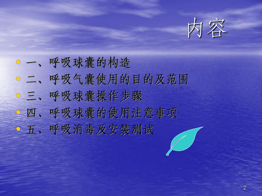 简易呼吸气囊的使用方法PPT课件.ppt_第2页