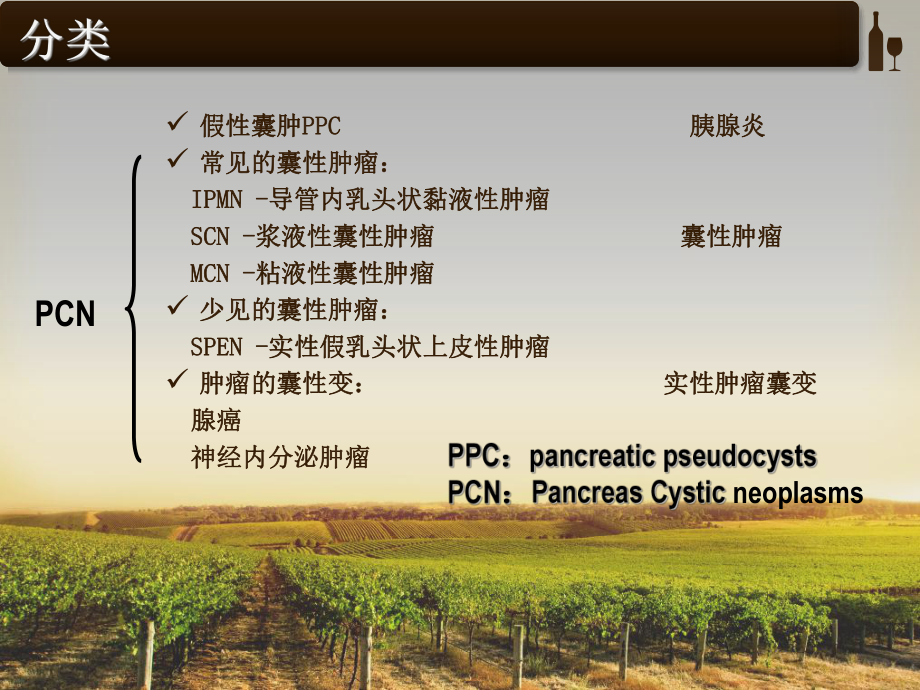 胰腺囊性病变课件.ppt_第2页