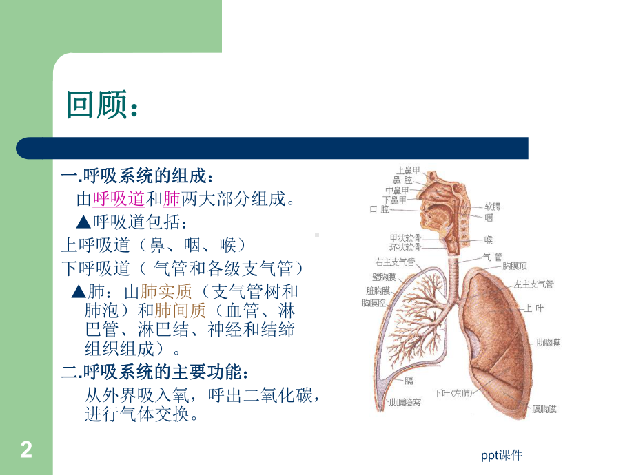 呼吸系统疾病常见症状的护理（呼吸内科）-ppt课件.ppt_第2页