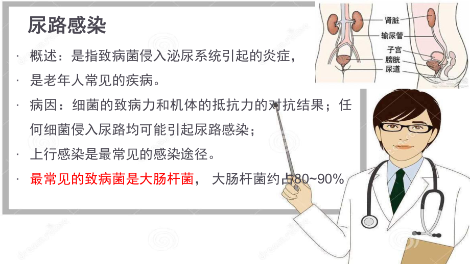 老年尿路感染护理PPT课件.ppt_第3页