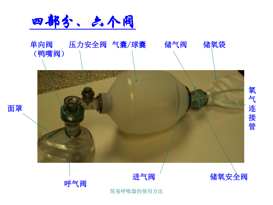 简易呼吸器的使用方法ppt课件.ppt_第2页