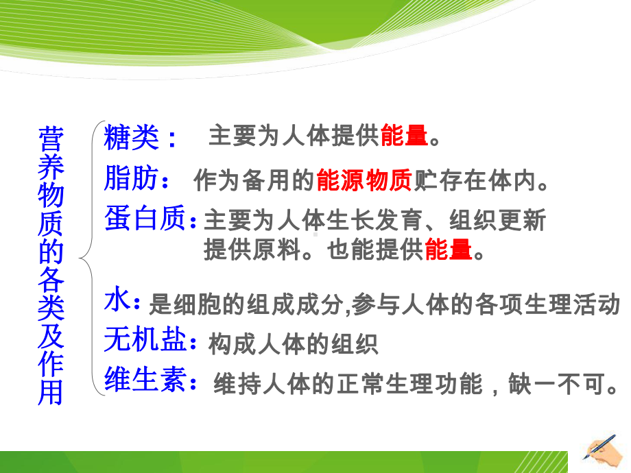 消化系统与呼吸系统课件.ppt_第2页