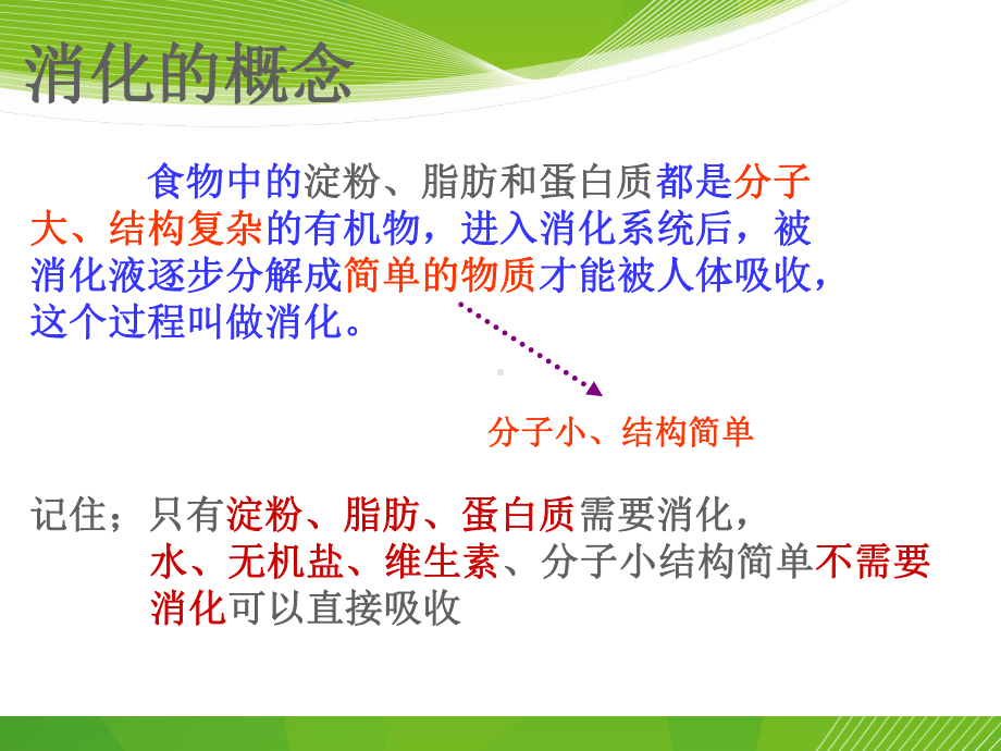 消化系统与呼吸系统课件.ppt_第3页