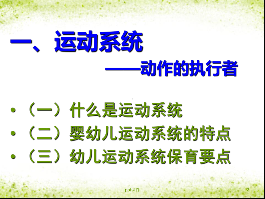 学前卫生学运动系统和呼吸系统-ppt课件.ppt_第2页