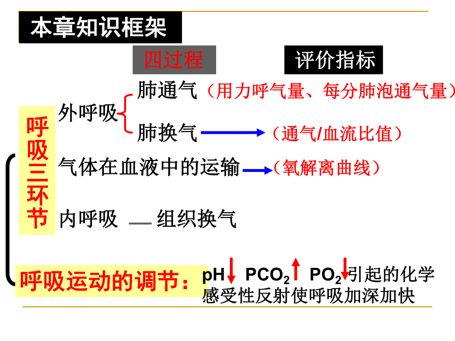 生理学-呼吸-第一节课件.ppt_第2页