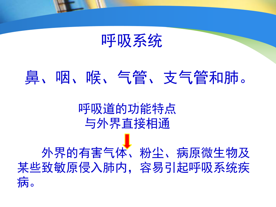 第十四章-呼吸系统病理课件.ppt_第2页