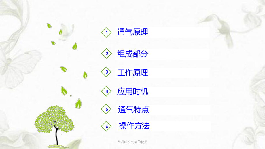 简易呼吸气囊的使用ppt课件1.ppt_第2页