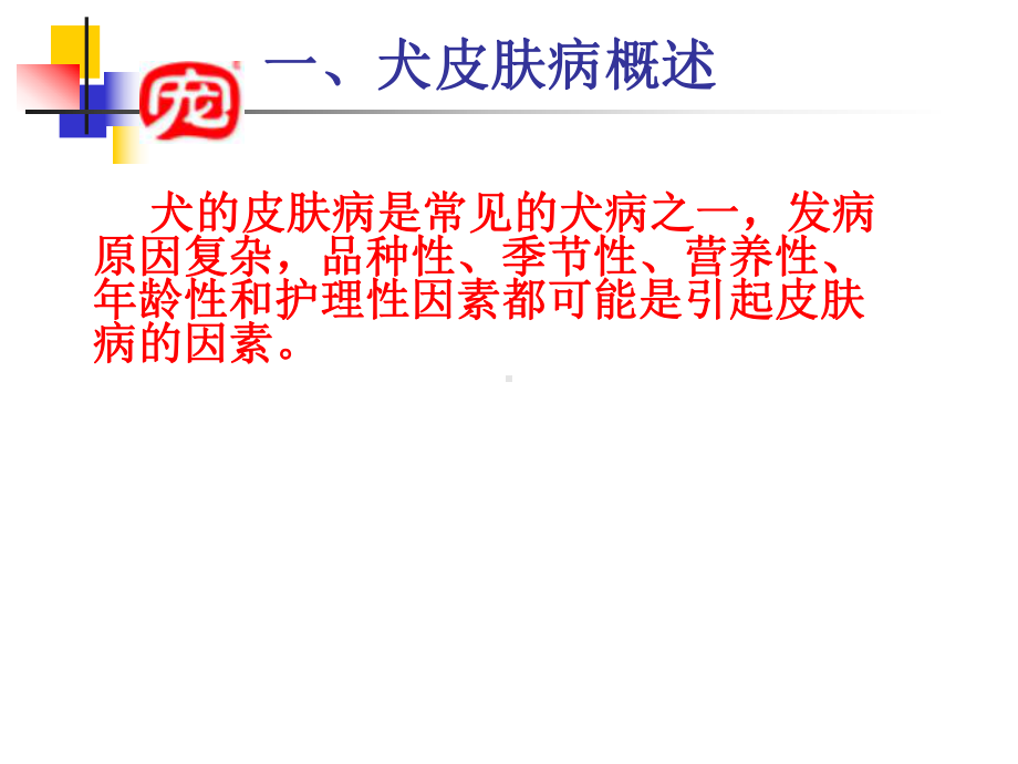 皮肤病讲座课件.ppt_第2页