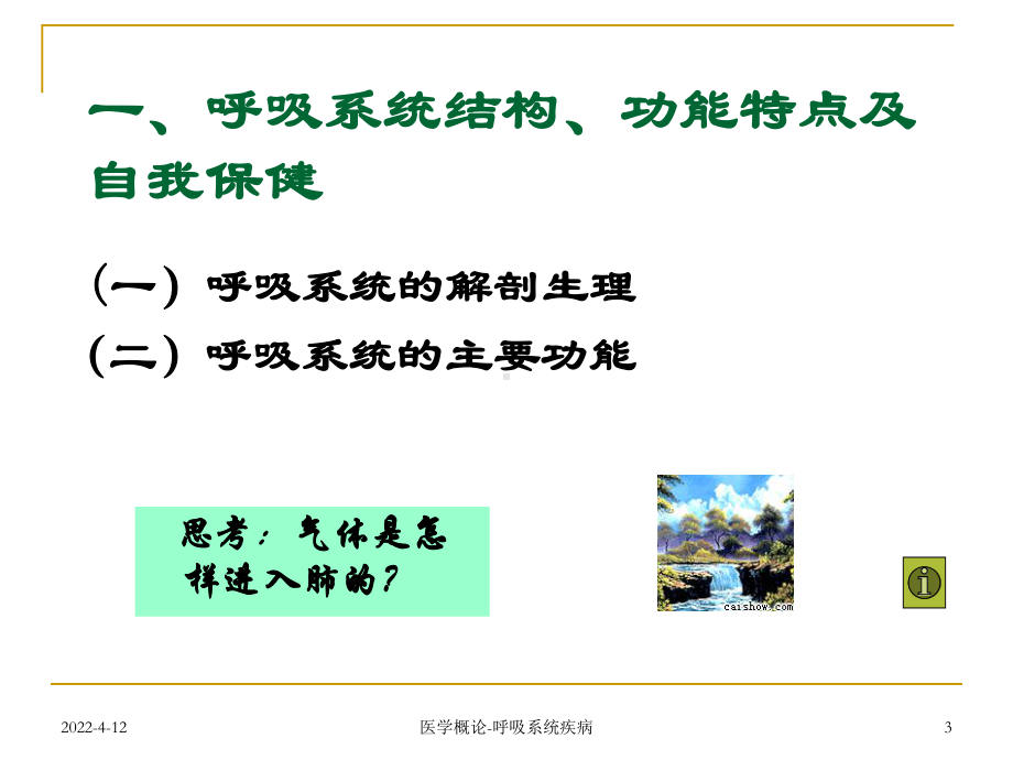 现代医学导论(呼吸)课件.ppt_第3页