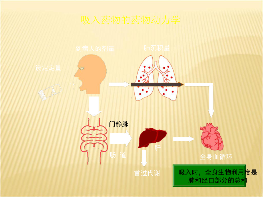 呼吸内科-吸入剂的使用课件.ppt_第3页