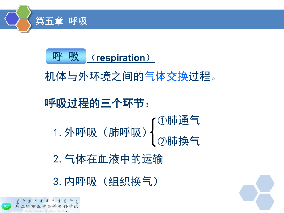 生理学-第五章-呼吸1课件.ppt_第3页