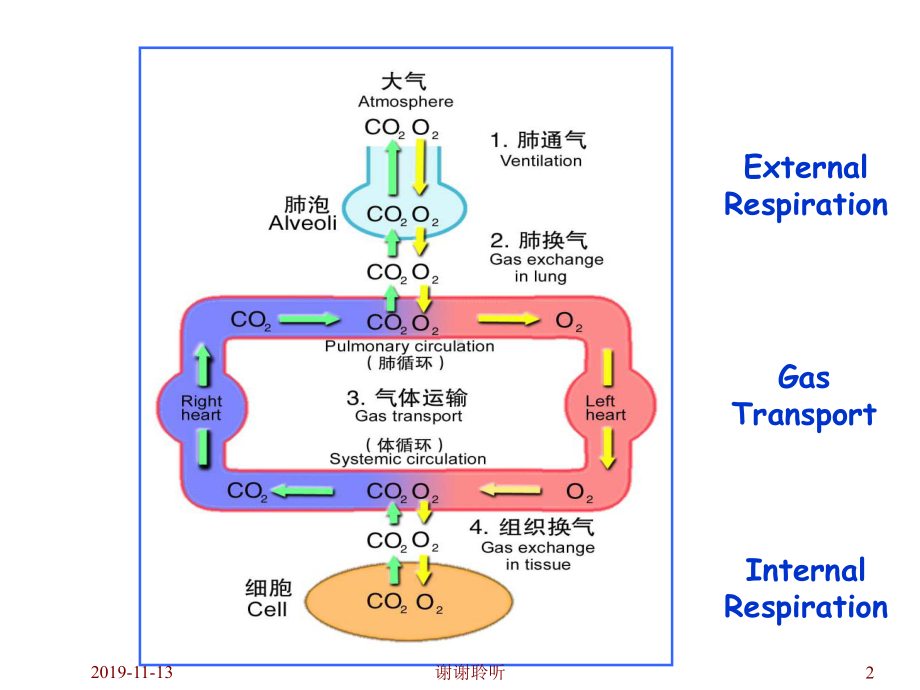 呼吸病理生理.pptx课件.pptx_第2页