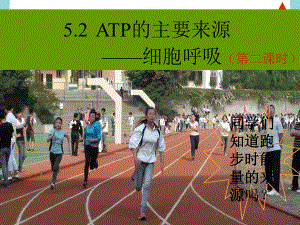 公开课细胞呼吸ppt课件.ppt