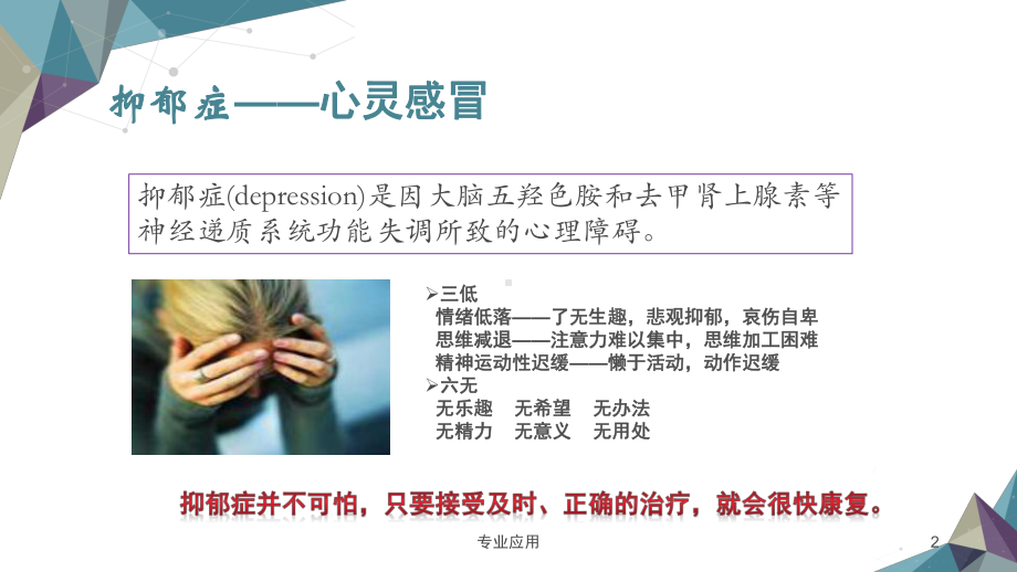 老年期抑郁症患者的护理(研究运用)课件.ppt_第2页