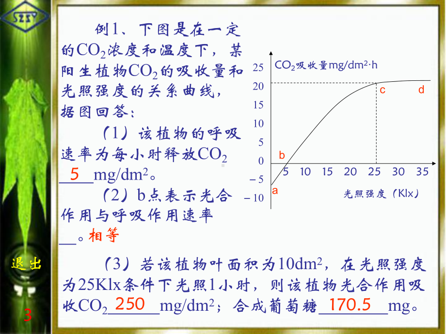 光合作用和呼吸作用的专题复习课件.ppt_第3页