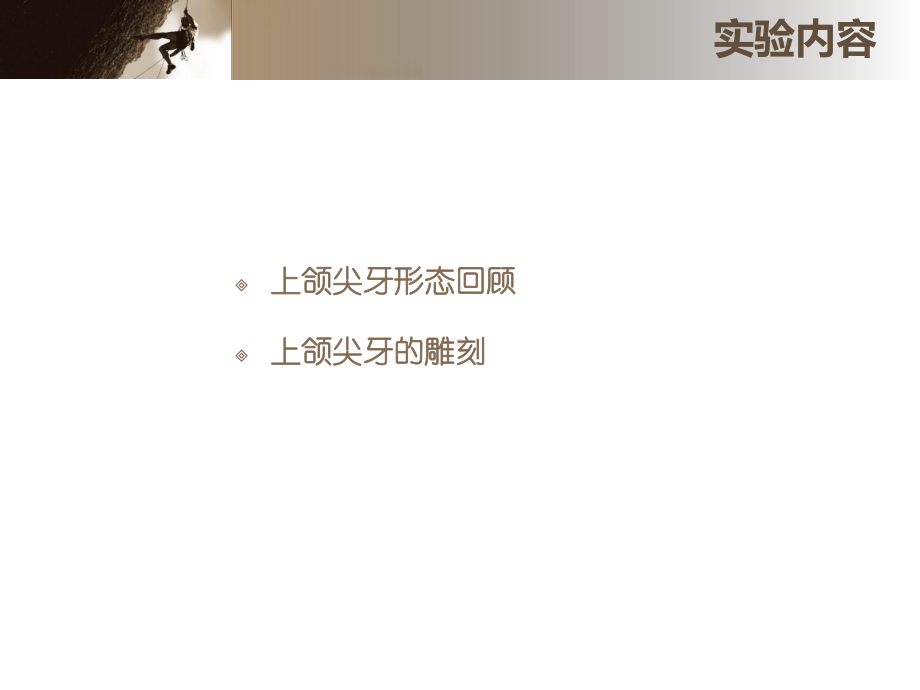 倍比雕刻上颌尖牙课件.ppt_第2页