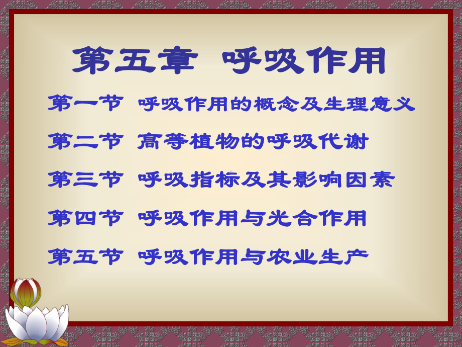 植物生理学之呼吸作用课件.ppt_第2页