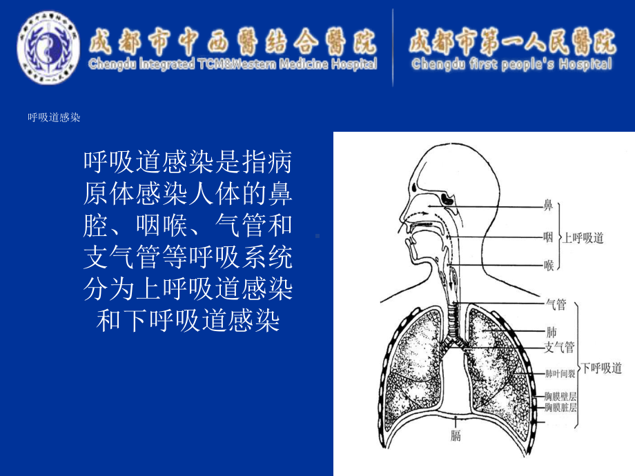 呼吸道九联检病原体检测及其临床意义资料讲解课件.ppt_第2页